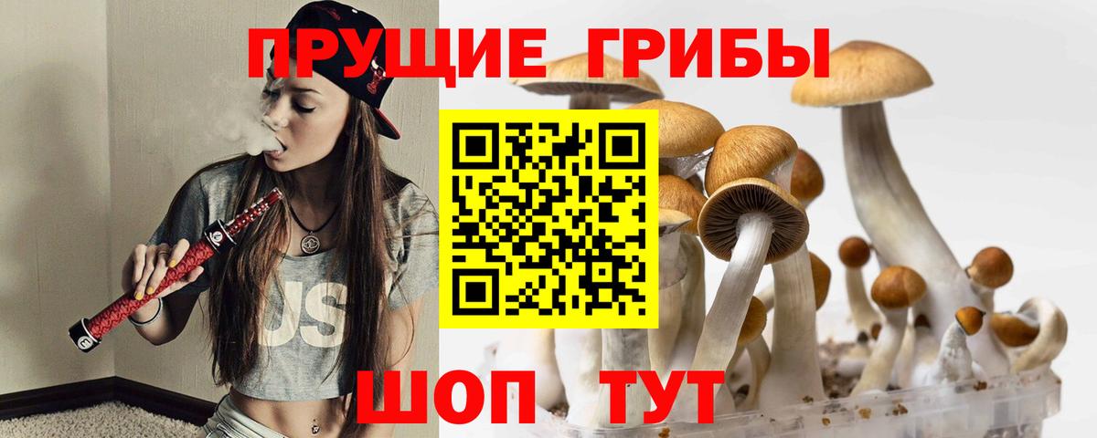 Галлюциногенные грибы MAGIC MUSHROOMS Вышний Волочёк