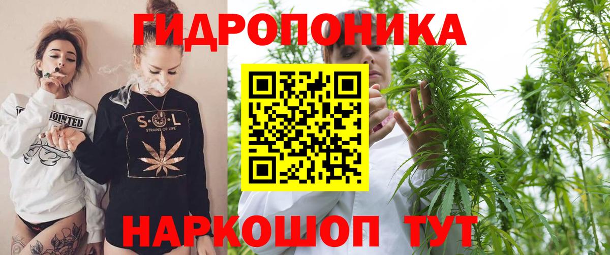 Каннабис MAZAR  Каннабис сатива  Марихуана тримм  Марихуана семена  Вход с VPN  Вышний Волочёк 